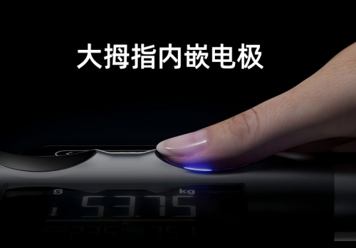 要：沃莱P7 Max智能八电极体脂秤的多场景价值PG电子麻将胡了2模拟器健身党宝妈亚健康人群都需(图8)